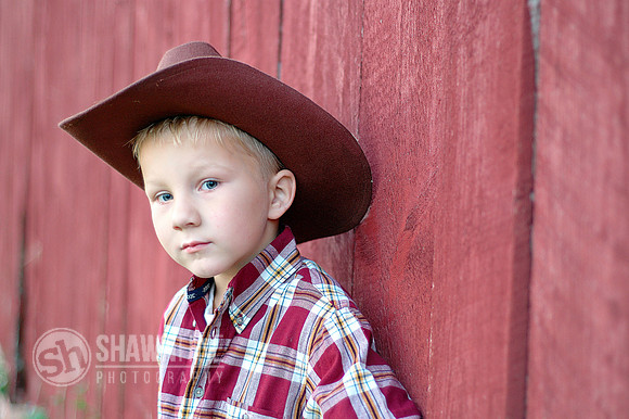 Young Cowboy